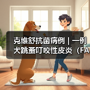 克维舒抗菌病例 | 一例犬跳蚤叮咬性皮炎(FAD)的病例分析(图4) 克维舒抗菌病例 | 一例犬跳蚤叮咬性皮炎(FAD)的病例分析(图4)
