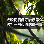 犬咬伤后保守治疗怎么选?一例心脏病病例报告(图3) 犬咬伤后保守治疗怎么选?一例心脏病病例报告(图3)