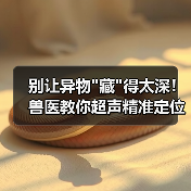 别让异物