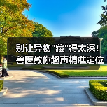 别让异物 别让异物