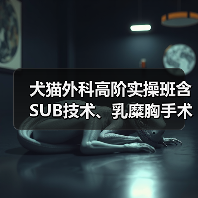 犬猫外科高阶实操班含SUB技术、乳糜胸手术，手把手教学提升临床技能！