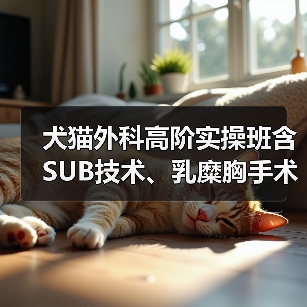 犬猫外科高阶实操班含SUB技术、乳糜胸手术,手把手教学提升临床技能!(图3) 犬猫外科高阶实操班含SUB技术、乳糜胸手术,手把手教学提升临床技能!(图3)