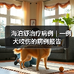 海泊舒治疗病例 | 一例犬咬伤的病例报告(图3) 海泊舒治疗病例 | 一例犬咬伤的病例报告(图3)