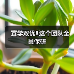 赛学双优‼️这个团队全员保研(图2) 赛学双优‼️这个团队全员保研(图2)