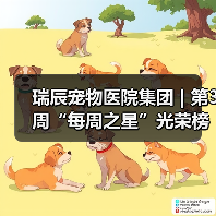 瑞辰宠物医院集团 | 第3周“每周之星”光荣榜