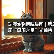 瑞辰宠物医院集团 | 第3周“每周之星”光荣榜(图4) 瑞辰宠物医院集团 | 第3周“每周之星”光荣榜(图4)