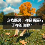 宠物医师,你是否履行了你的使命?(图1) 宠物医师,你是否履行了你的使命?(图1)