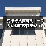 克维舒抗菌病例 | 一例犬跳蚤叮咬性皮炎（FAD）的病例分析