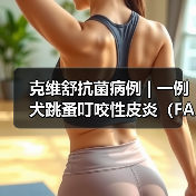 克维舒抗菌病例 | 一例犬跳蚤叮咬性皮炎(FAD)的病例分析(图3) 克维舒抗菌病例 | 一例犬跳蚤叮咬性皮炎(FAD)的病例分析(图3)