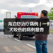 海泊舒治疗病例 | 一例犬咬伤的病例报告(图3) 海泊舒治疗病例 | 一例犬咬伤的病例报告(图3)