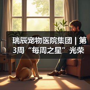 瑞辰宠物医院集团 | 第3周“每周之星”光荣榜(图2) 瑞辰宠物医院集团 | 第3周“每周之星”光荣榜(图2)