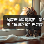 瑞辰宠物医院集团 | 第3周“每周之星”光荣榜