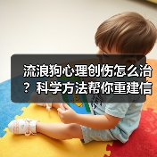 流浪狗心理创伤怎么治？科学方法帮你重建信任