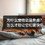 为什么宠物总是焦虑?怎么才能让它们更快乐?(图1) 为什么宠物总是焦虑?怎么才能让它们更快乐?(图1)