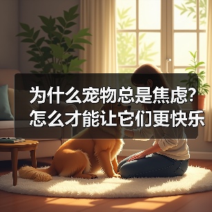 为什么宠物总是焦虑?怎么才能让它们更快乐?(图3) 为什么宠物总是焦虑?怎么才能让它们更快乐?(图3)