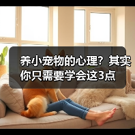 养小宠物的心理?其实你只需要学会这3点(图2) 养小宠物的心理?其实你只需要学会这3点(图2)