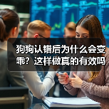 狗狗认错后为什么会变乖？这样做真的有效吗？（图1）