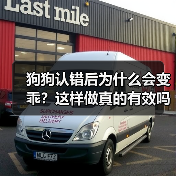 狗狗认错后为什么会变乖？这样做真的有效吗？（图3）