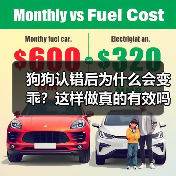 狗狗认错后为什么会变乖？这样做真的有效吗？