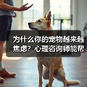 为什么你的宠物越来越焦虑?心理咨询师能帮上忙吗?(图3) 为什么你的宠物越来越焦虑?心理咨询师能帮上忙吗?(图3)