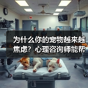 为什么你的宠物越来越焦虑?心理咨询师能帮上忙吗?(图4) 为什么你的宠物越来越焦虑?心理咨询师能帮上忙吗?(图4)