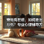 宠物离世后,如何走出悲伤?专业心理辅导方案帮你走出阴霾(图2) 宠物离世后,如何走出悲伤?专业心理辅导方案帮你走出阴霾(图2)