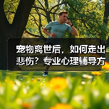 宠物离世后，如何走出悲伤？专业心理辅导方案帮你走出阴霾