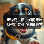宠物离世后,如何走出悲伤?专业心理辅导方案帮你走出阴霾(图4) 宠物离世后,如何走出悲伤?专业心理辅导方案帮你走出阴霾(图4)