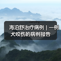 海泊舒治疗病例 | 一例犬咬伤的病例报告(图1) 海泊舒治疗病例 | 一例犬咬伤的病例报告(图1)