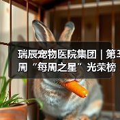 瑞辰宠物医院集团 | 第3周“每周之星”光荣榜