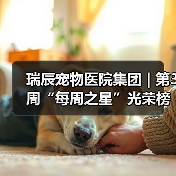 瑞辰宠物医院集团 | 第3周“每周之星”光荣榜(图4) 瑞辰宠物医院集团 | 第3周“每周之星”光荣榜(图4)