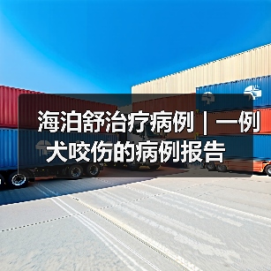海泊舒治疗病例 | 一例犬咬伤的病例报告(图4) 海泊舒治疗病例 | 一例犬咬伤的病例报告(图4)
