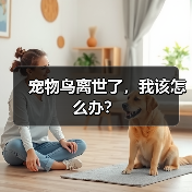 宠物鸟离世了,我该怎么办?(图3) 宠物鸟离世了,我该怎么办?(图3)
