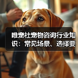 唯宠社宠物咨询行业知识:常见场景、选择要点与注意事项(图1) 唯宠社宠物咨询行业知识:常见场景、选择要点与注意事项(图1)