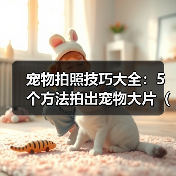 宠物拍照技巧大全:5个方法拍出宠物大片(2026推荐)(图1) 宠物拍照技巧大全:5个方法拍出宠物大片(2026推荐)(图1)