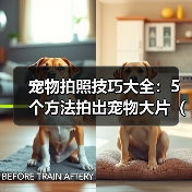 宠物拍照技巧大全:5个方法拍出宠物大片(2026推荐)(图2) 宠物拍照技巧大全:5个方法拍出宠物大片(2026推荐)(图2)