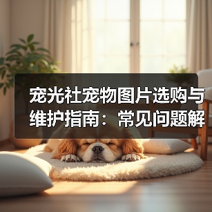 宠光社宠物图片选购与维护指南:常见问题解析2025(图2) 宠光社宠物图片选购与维护指南:常见问题解析2025(图2)