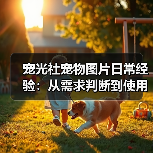 宠光社宠物图片日常经验:从需求判断到使用维护全攻略(图1) 宠光社宠物图片日常经验:从需求判断到使用维护全攻略(图1)