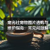 宠光社宠物图片选购与维护指南:常见问题解析2025(图3) 宠光社宠物图片选购与维护指南:常见问题解析2025(图3)