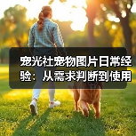 宠光社宠物图片日常经验:从需求判断到使用维护全攻略(图4) 宠光社宠物图片日常经验:从需求判断到使用维护全攻略(图4)