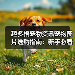趣多格宠物资讯宠物图片选购指南:新手必看5大实用方法(图4) 趣多格宠物资讯宠物图片选购指南:新手必看5大实用方法(图4)