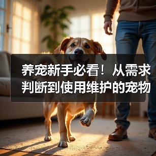 养宠新手必看！从需求判断到使用维护的宠物用品经验指南