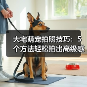 大宅萌宠拍照技巧：5个方法轻松拍出高级感宠物照片（图4）