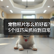 宠物照片怎么拍好看?5个技巧从抓拍到日常维护(图1) 宠物照片怎么拍好看?5个技巧从抓拍到日常维护(图1)