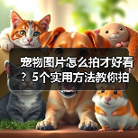 宠物图片怎么拍才好看?5个实用方法教你拍出高颜值萌宠照(图1) 宠物图片怎么拍才好看?5个实用方法教你拍出高颜值萌宠照(图1)