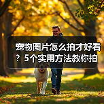 宠物图片怎么拍才好看？5个实用方法教你拍出高颜值萌宠照