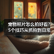 宠物照片怎么拍好看？5个技巧从抓拍到日常维护