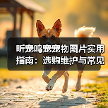 昕宠鸣宠宠物图片实用指南:选购维护与常见问题解析(图3) 昕宠鸣宠宠物图片实用指南:选购维护与常见问题解析(图3)