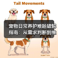 宠物日常养护难题破解指南:从需求判断到维护全攻略(图4) 宠物日常养护难题破解指南:从需求判断到维护全攻略(图4)