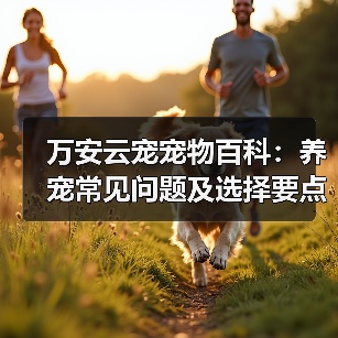 万安云宠宠物百科：养宠常见问题及选择要点，新手必看（图4）